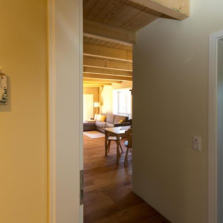 Delve Ferienhof-Eiderdeich Wohnung Hertha מראה חיצוני תמונה